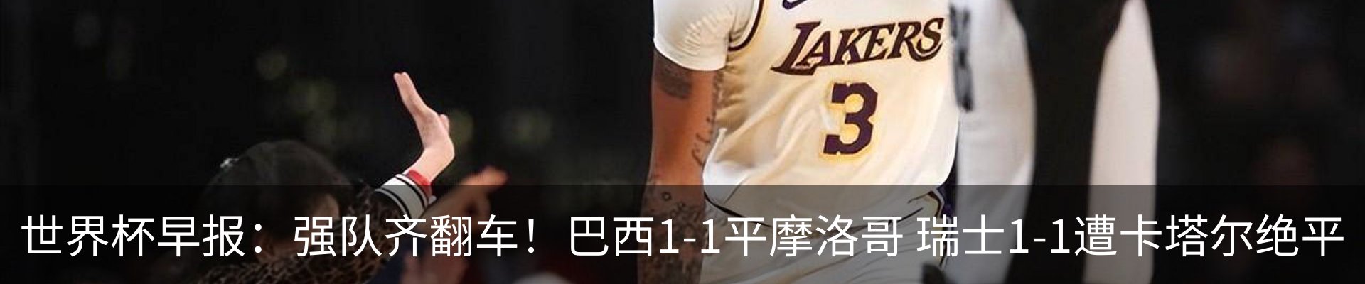 新闻动态