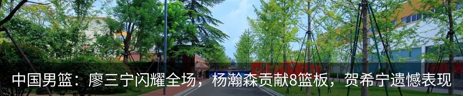 新闻动态