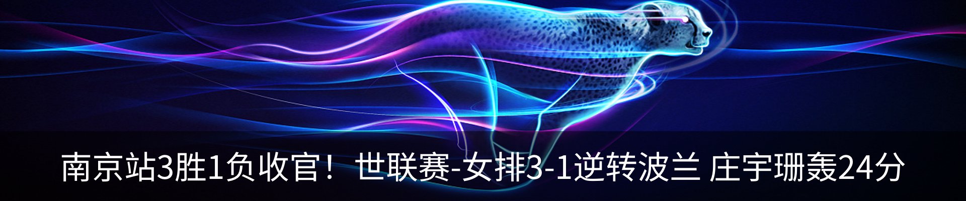 新闻动态