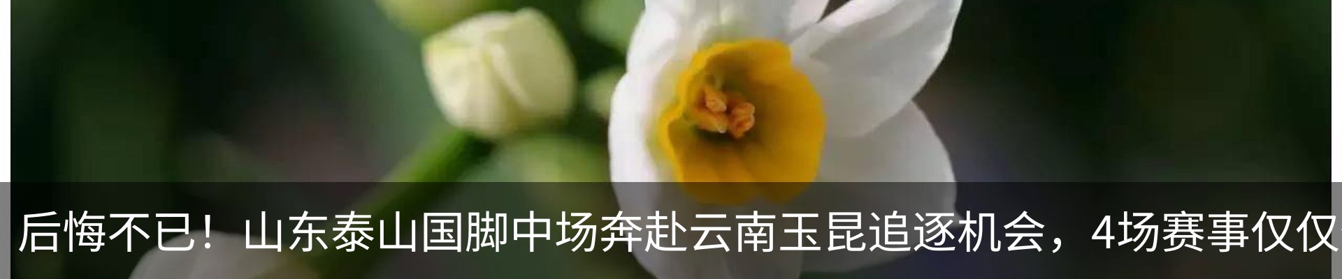 新闻动态