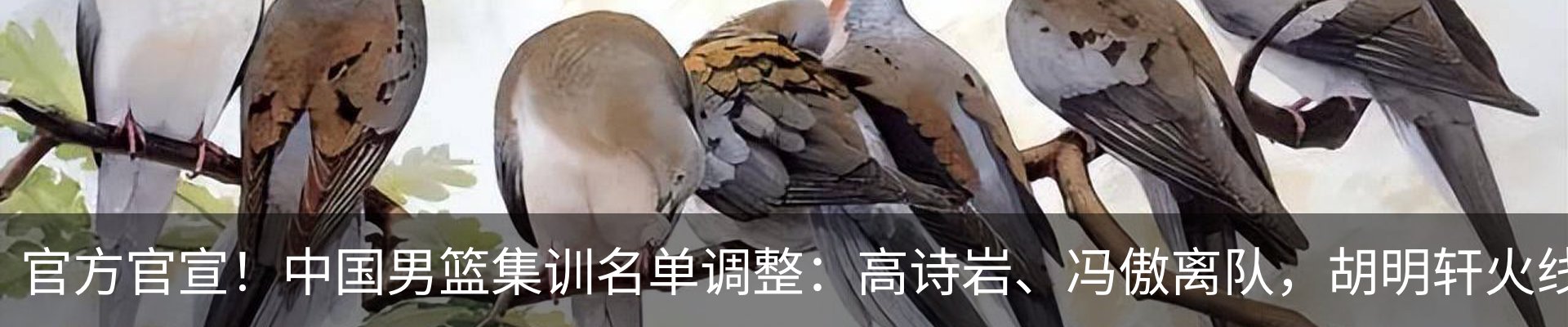 新闻动态