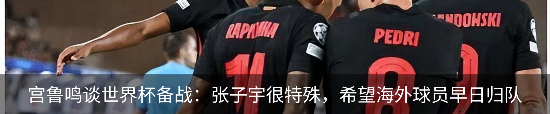 新闻动态