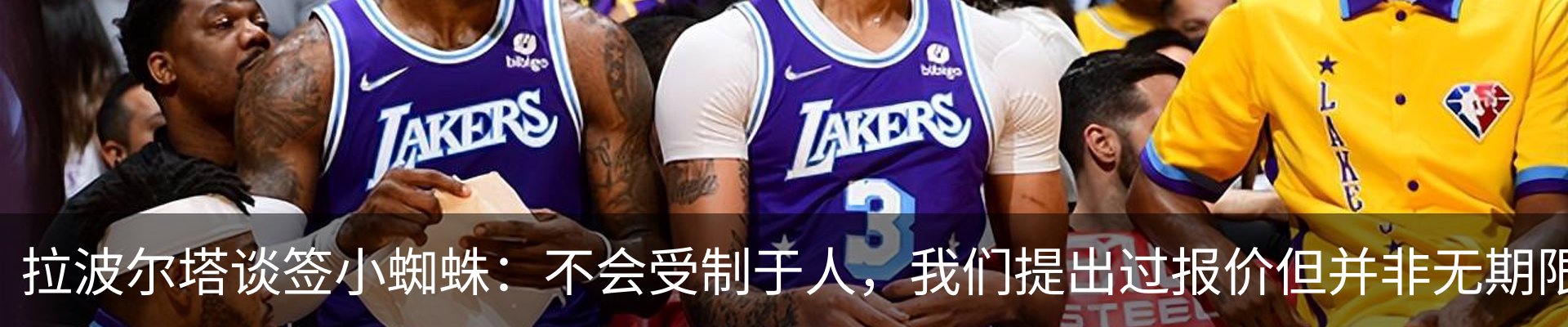 新闻动态