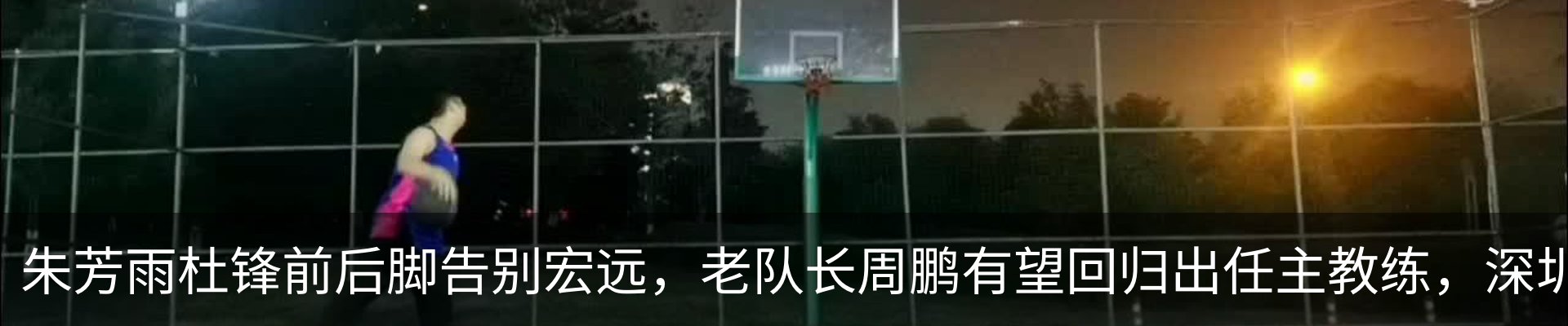 新闻动态