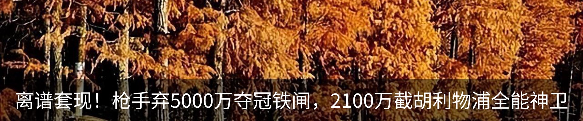 新闻动态