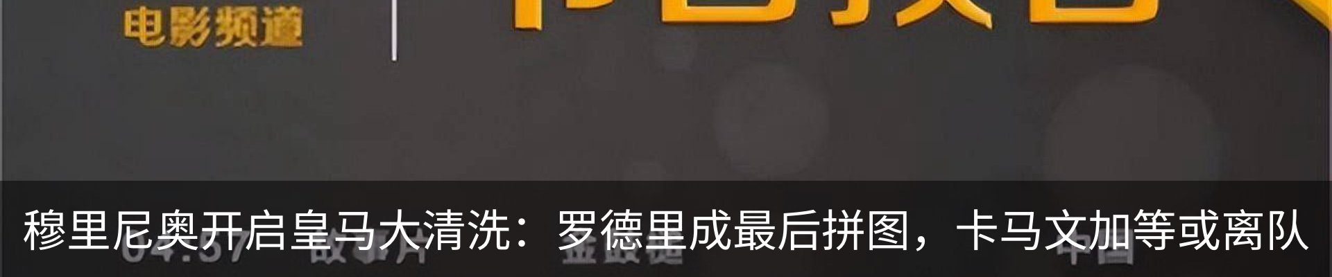 新闻动态