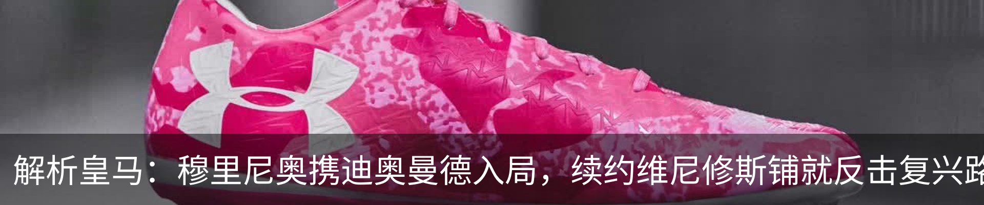 新闻动态