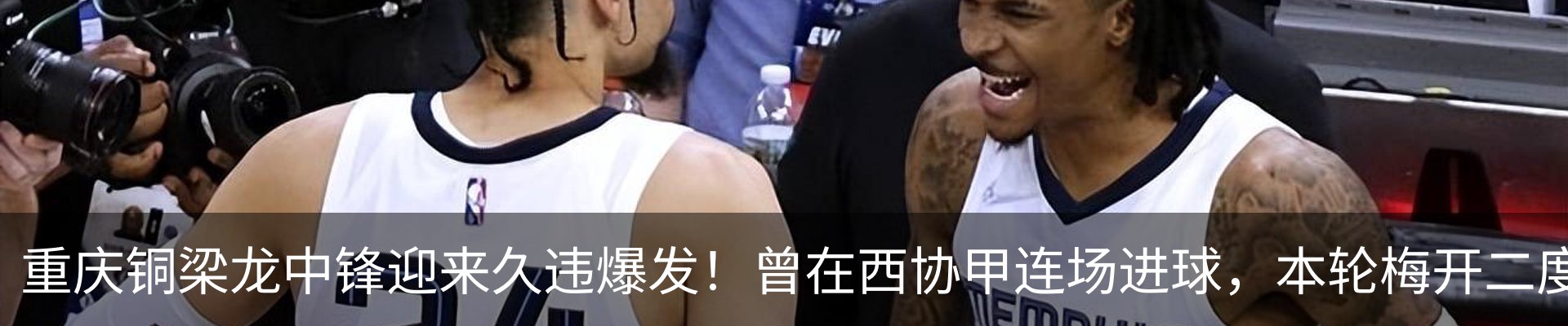 新闻动态