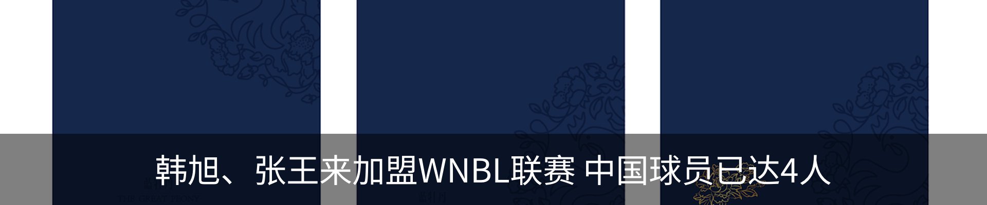 新闻动态