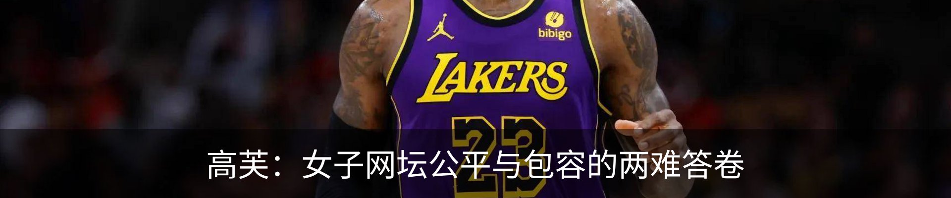新闻动态
