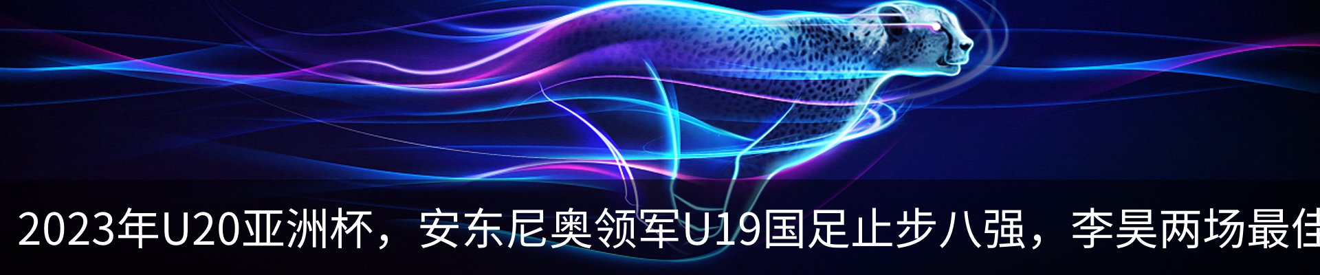 新闻动态
