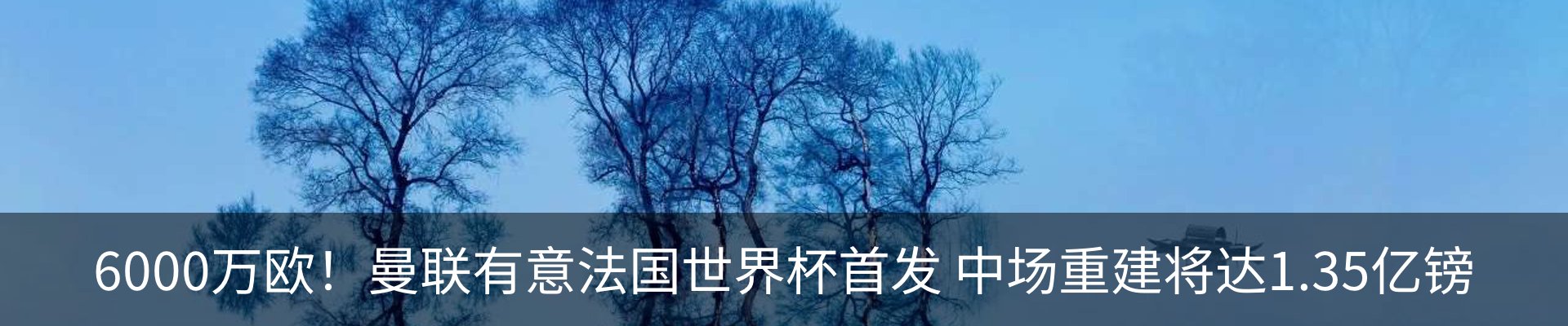 新闻动态