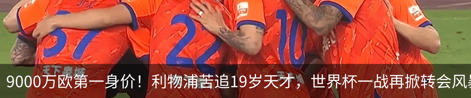 新闻动态