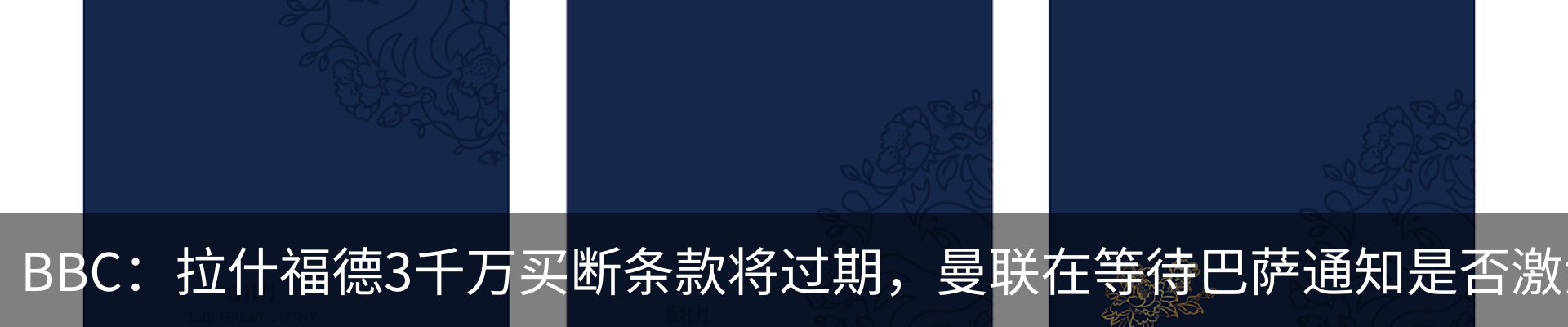 新闻动态