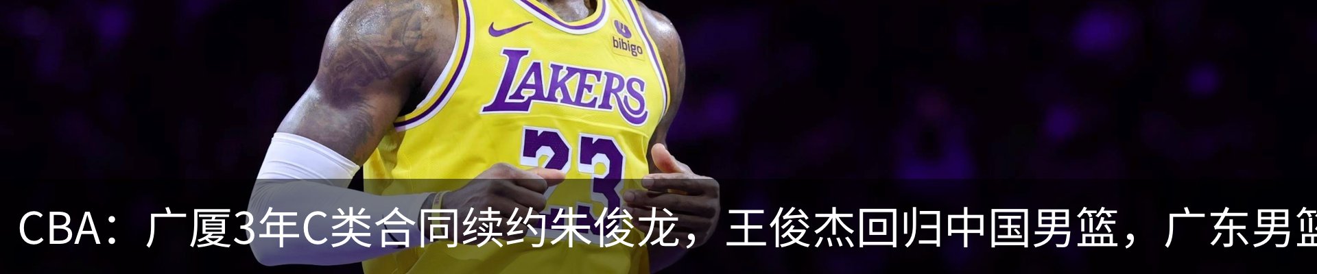 新闻动态